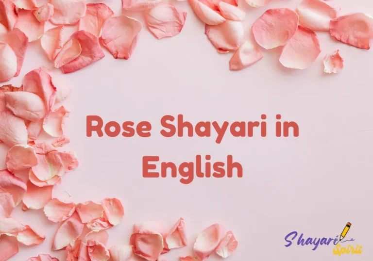 Rose Shayari in English