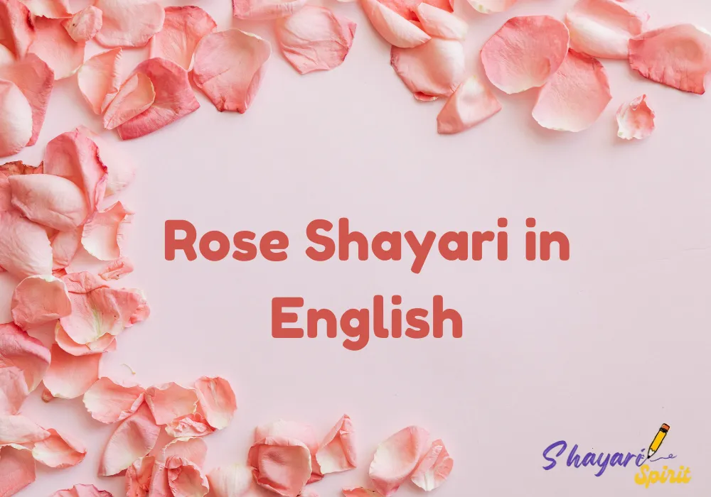 Rose Shayari in English