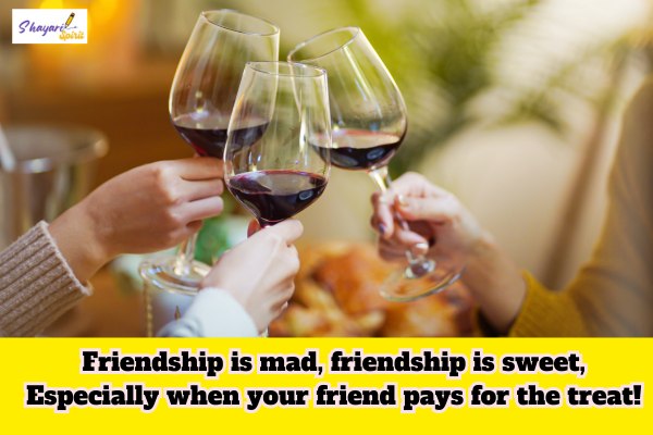 Funny Shayari for Friends