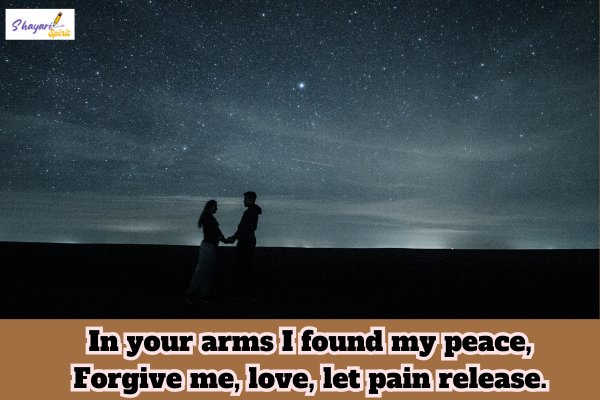 Love Sorry Shayari in English