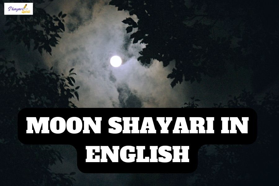 Moon Shayari In English