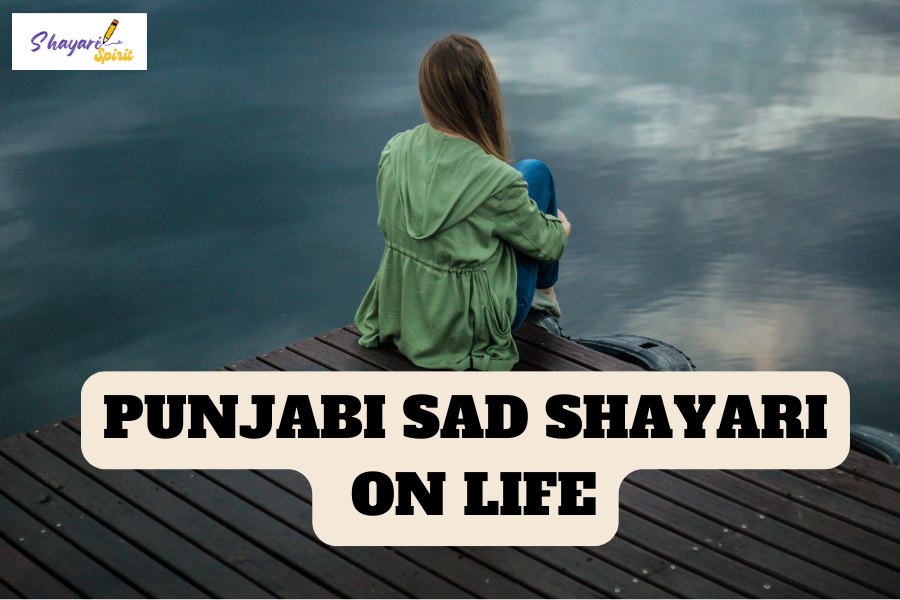 Punjabi Sad Shayari on Life