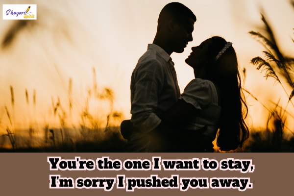 Sorry Shayari for Boyfriend