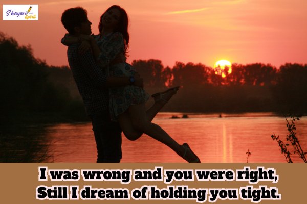 Sorry Shayari for Girlfriend (2)
