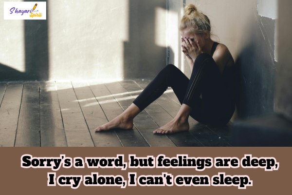 Sorry shayari
