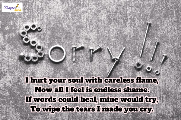 hurt sorry shayari