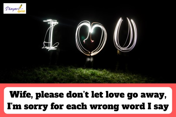 Sorry shayari for wife